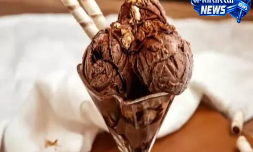 FDA का बड़ा एक्शन: ज़िंदा चूहे और एक्सपायरी आइटम मिलने पर रुस्तम आइसक्रीम आउटलेट सील